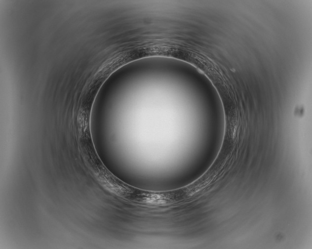 X0000096380091200801241247
