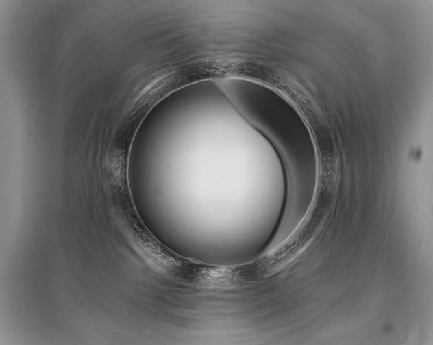 X0000096380092200801241247