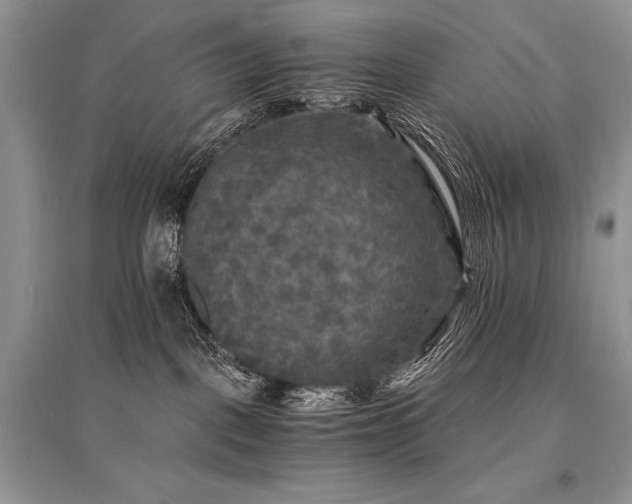 X0000096380093200801241247