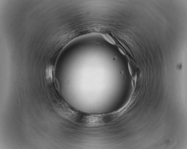 X0000096380094200801241247