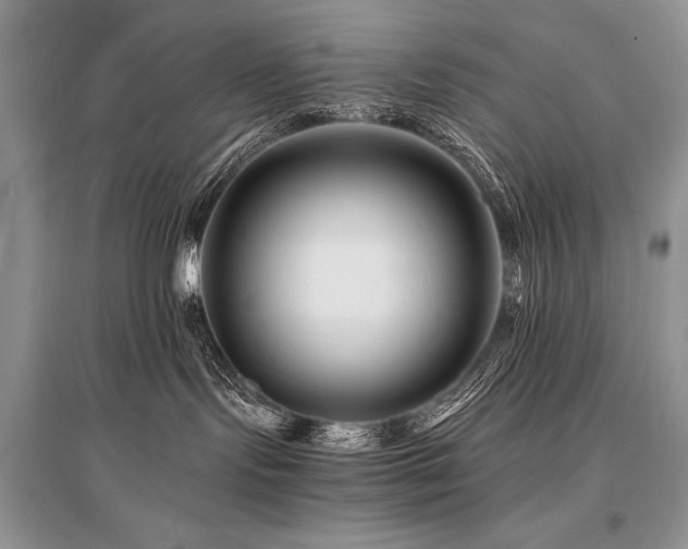 X0000096380095200801241247