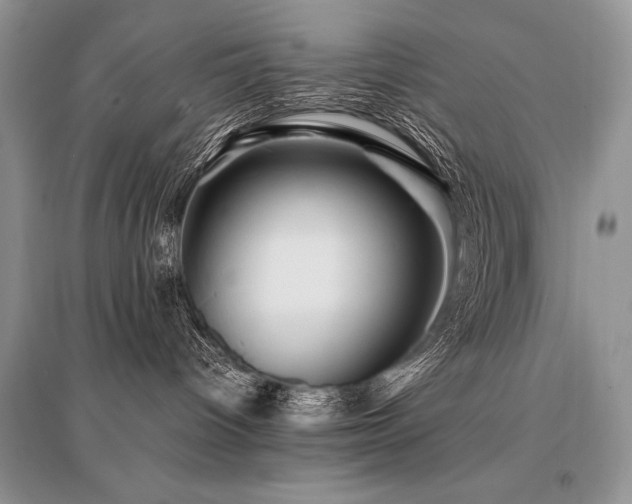 X0000096380096200801241247