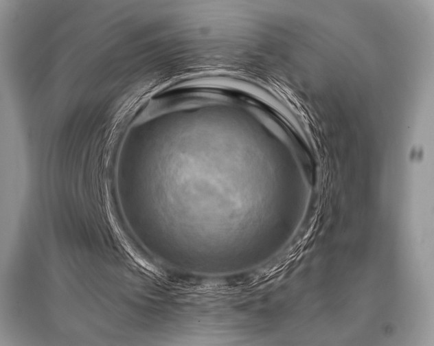 X0000096380097200801241246