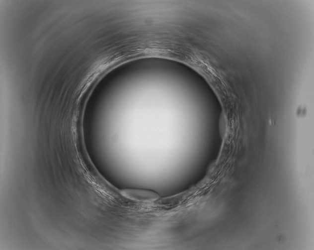 X0000096380098200801241246