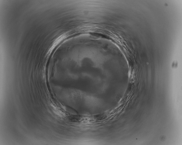 X0000096380099200801241246