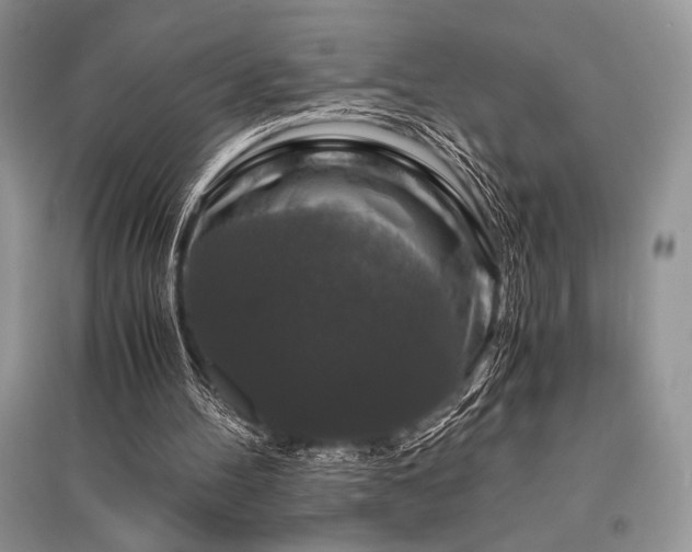 X0000096380100200801241246