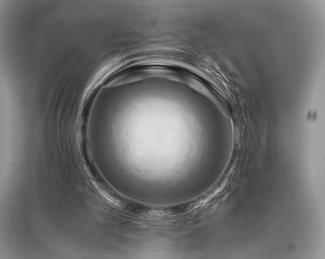 X0000096380101200801241246