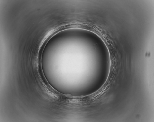 X0000096380102200801241246