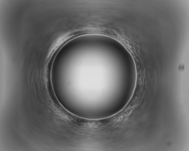 X0000096380103200801241246