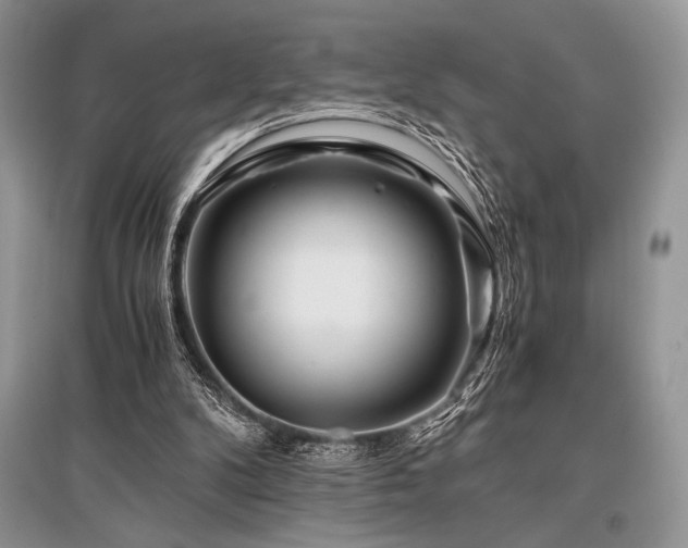 X0000096380104200801241246