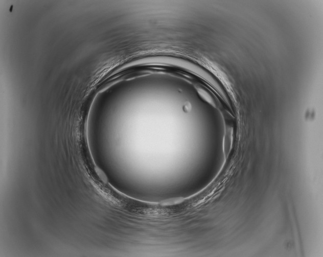 X0000096380105200801241246