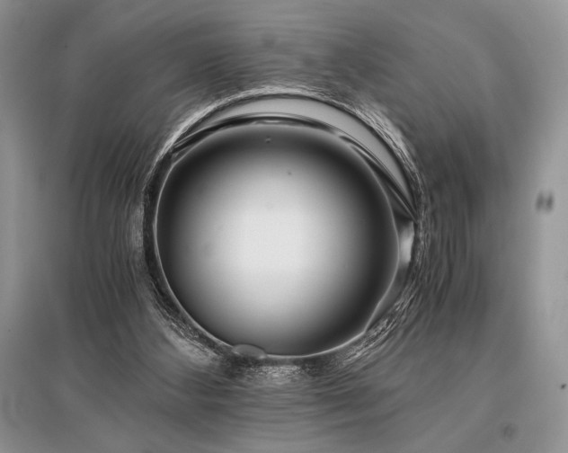X0000096380108200801241246