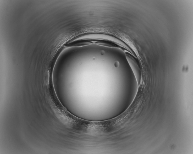 X0000096380109200801241246