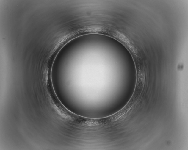X0000096380110200801241246