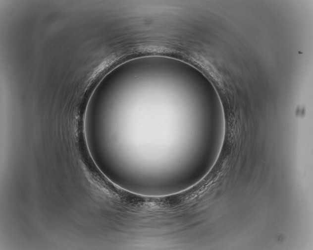 X0000096380111200801241246