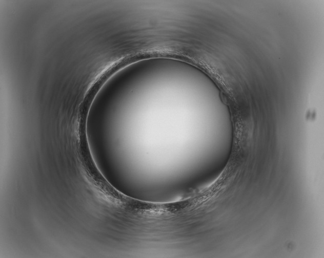 X0000096380112200801241246