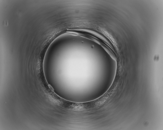 X0000096380113200801241246