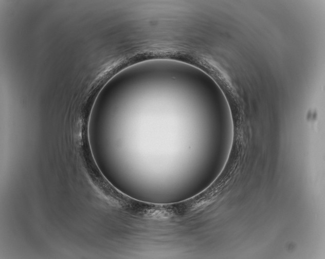 X0000096380115200801241246