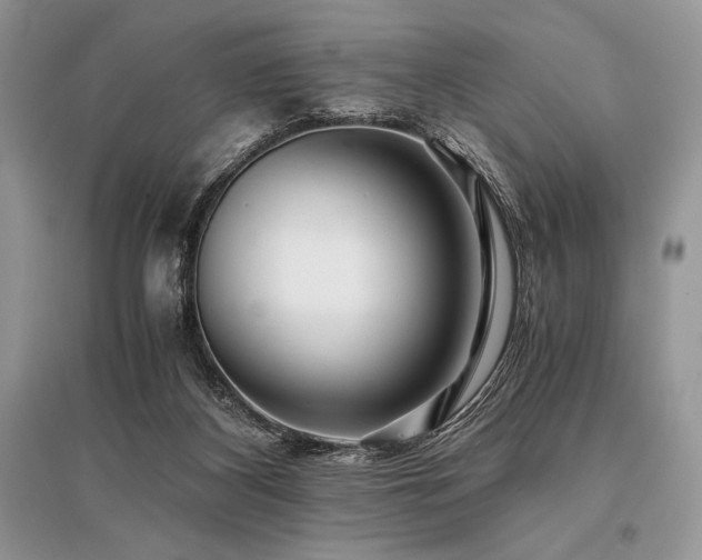 X0000096380116200801241246