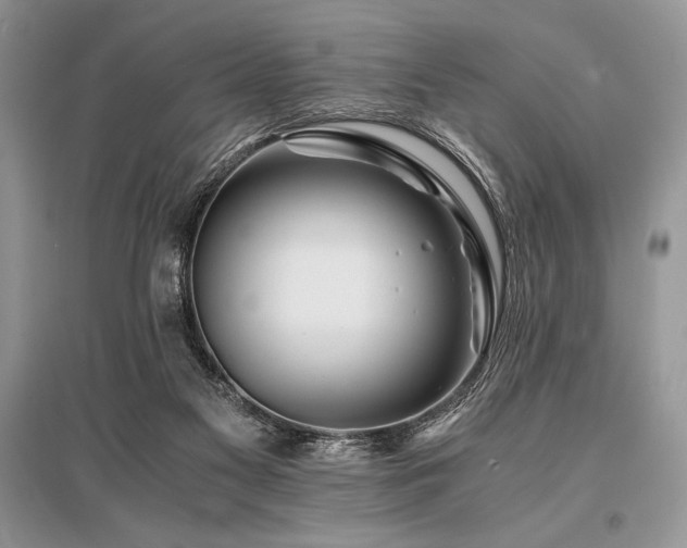 X0000096380117200801241246