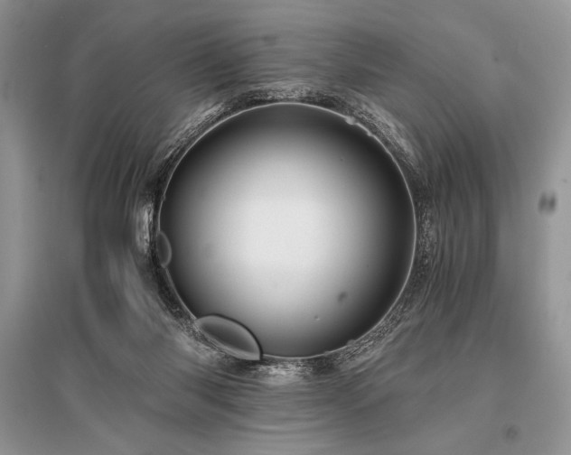 X0000096380118200801241246
