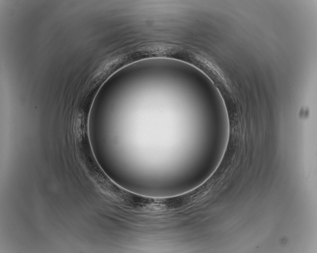 X0000096380119200801241246