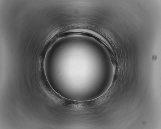 X0000096380120200801241246