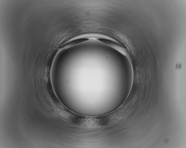 X0000096380121200801241246