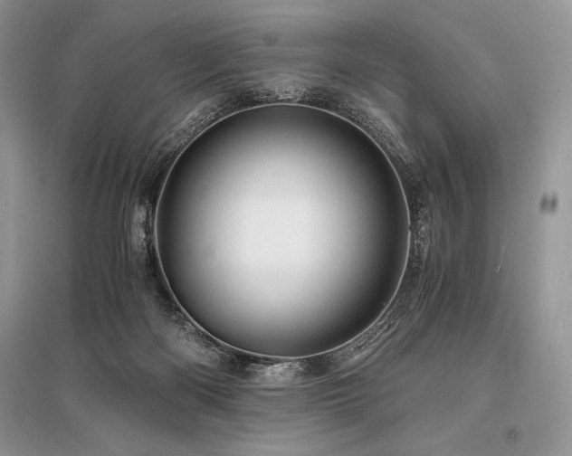 X0000096380122200801241246