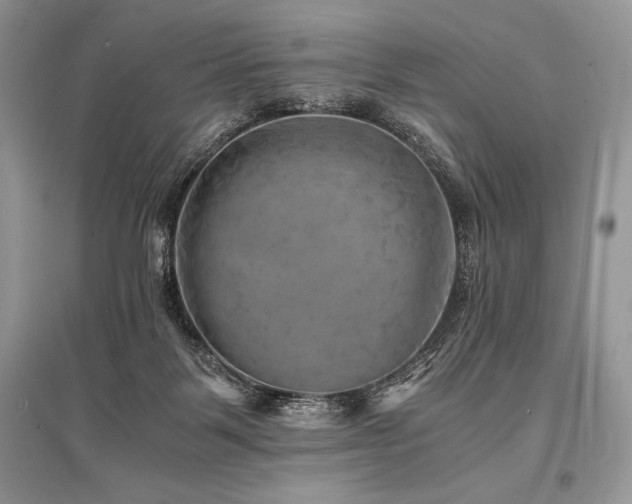 X0000096380123200801241246