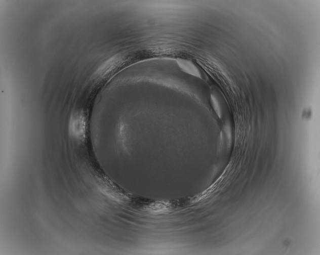 X0000096380124200801241246