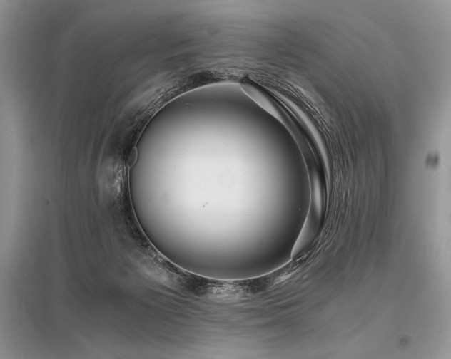 X0000096380125200801241246