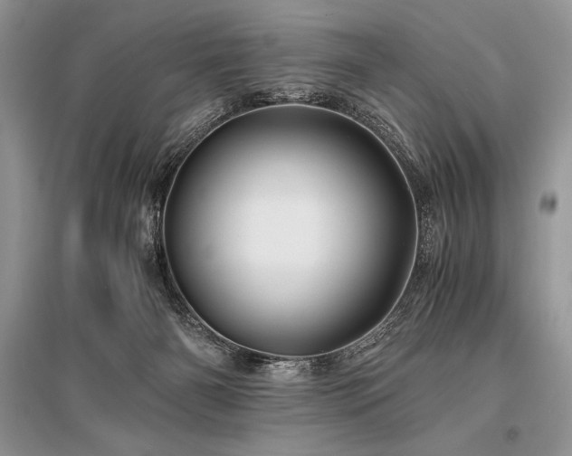X0000096380126200801241246