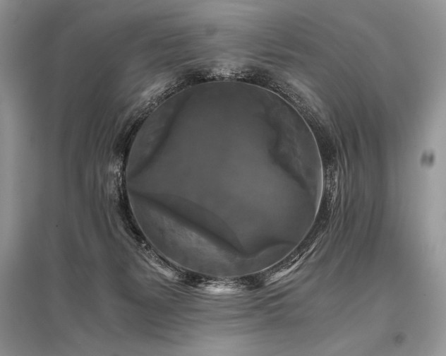 X0000096380127200801241246