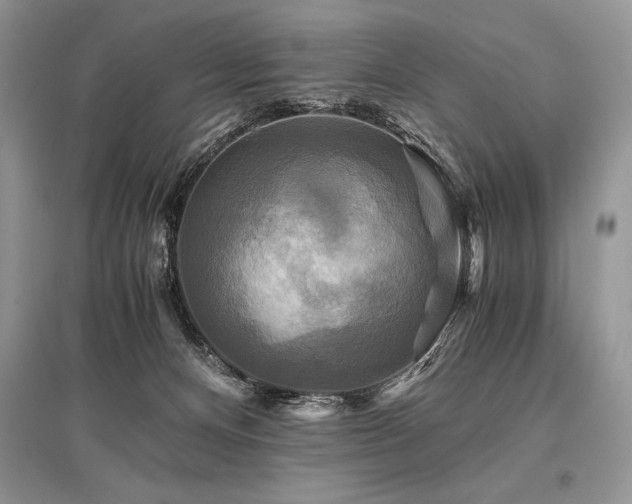 X0000096380128200801241246