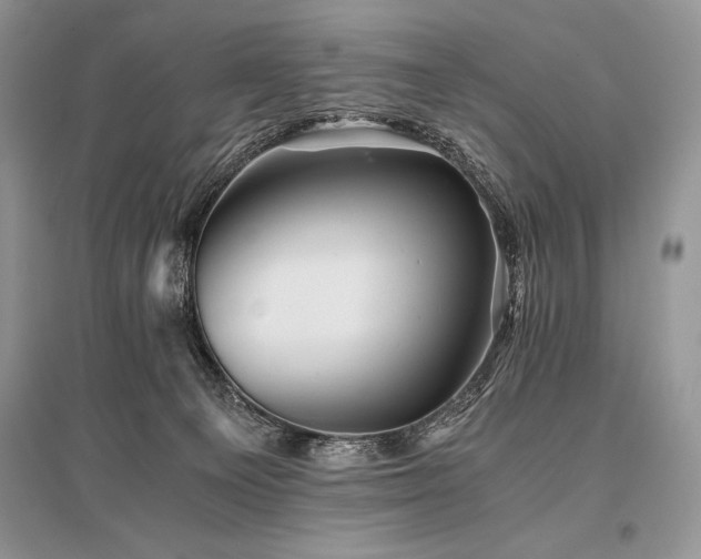 X0000096380129200801241246
