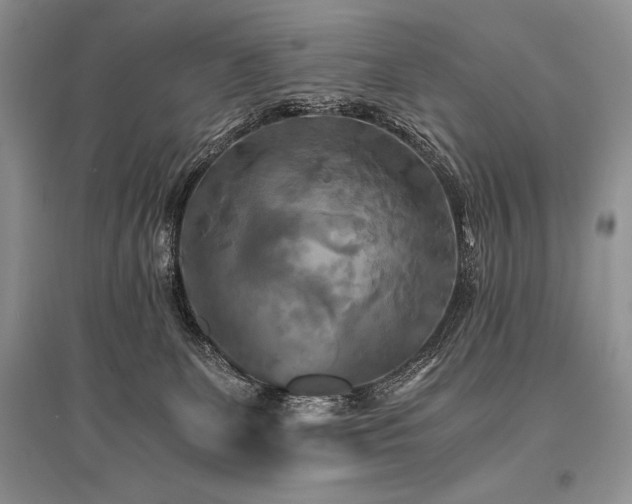 X0000096380131200801241246