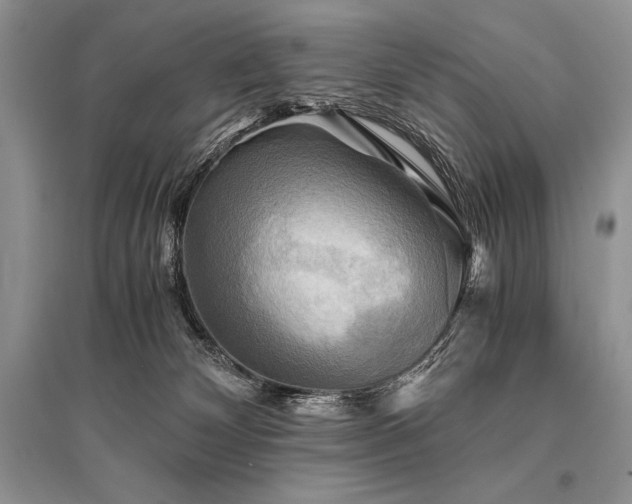 X0000096380132200801241246