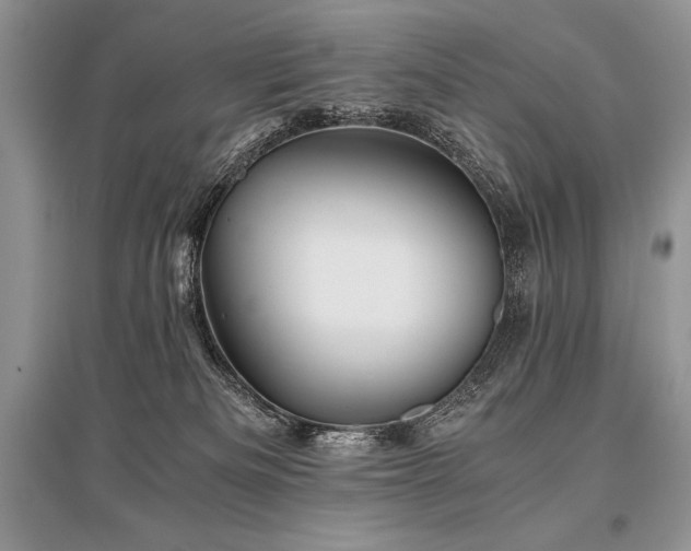 X0000096380133200801241246