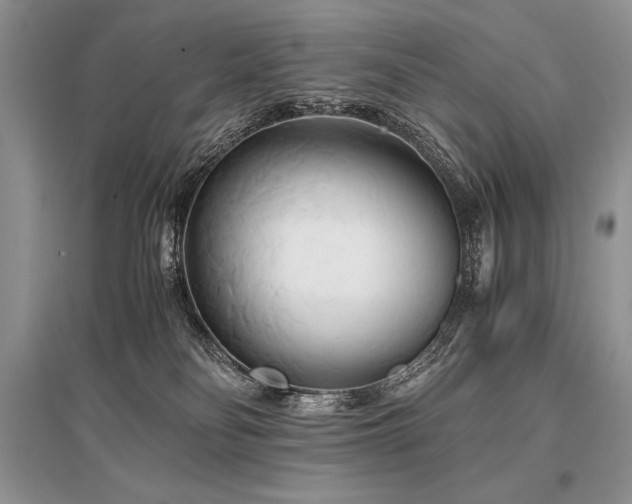 X0000096380134200801241246