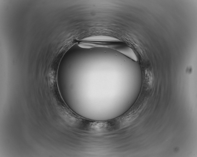 X0000096380135200801241246