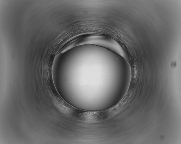 X0000096380136200801241246