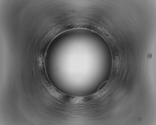 X0000096380138200801241246