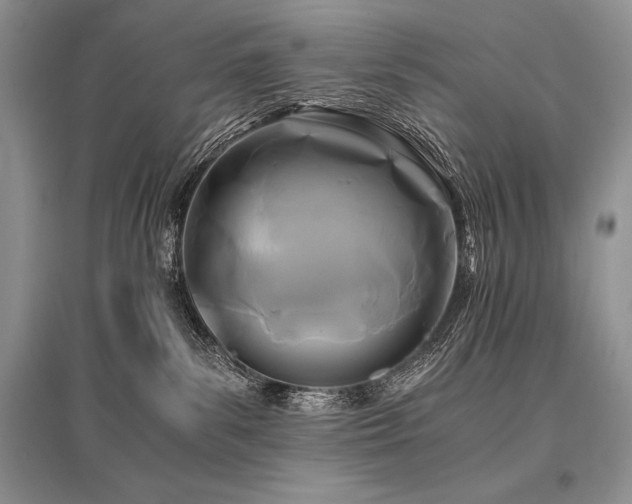 X0000096380139200801241246