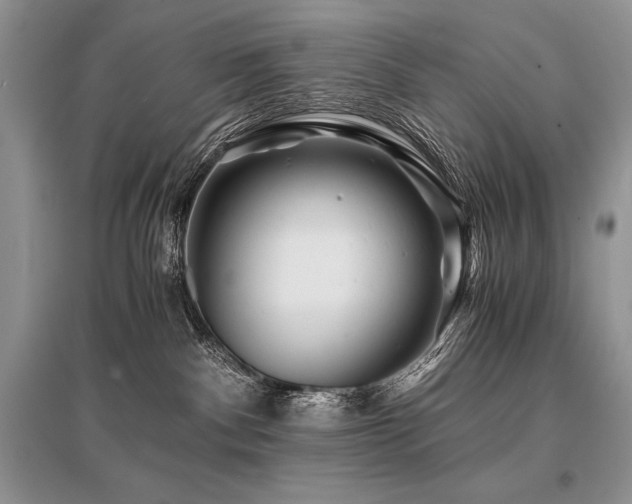 X0000096380140200801241246
