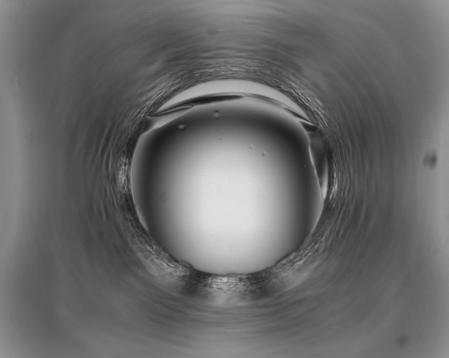 X0000096380141200801241246