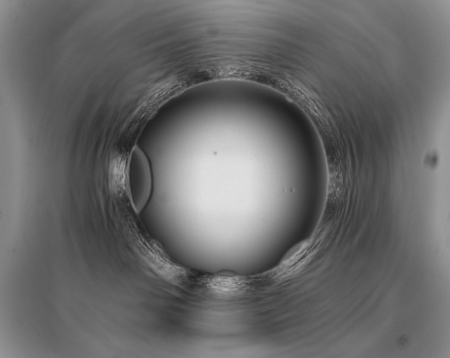X0000096380142200801241246