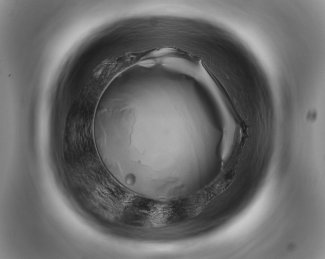 X0000096380143200801241246