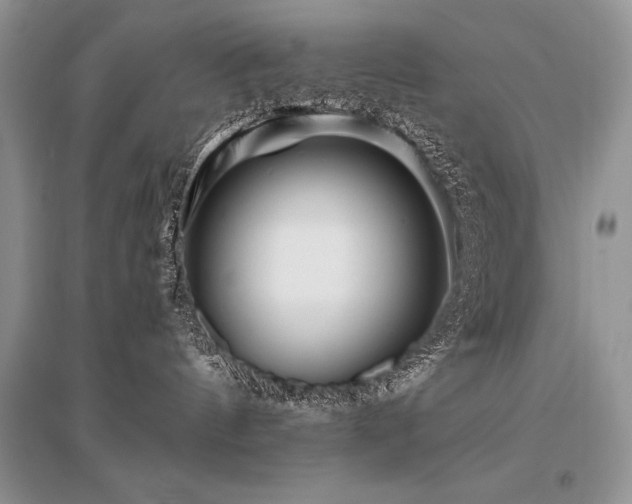 X0000096380144200801241246