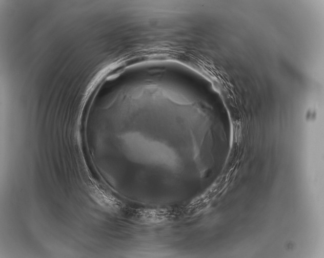 X0000096380147200801241245